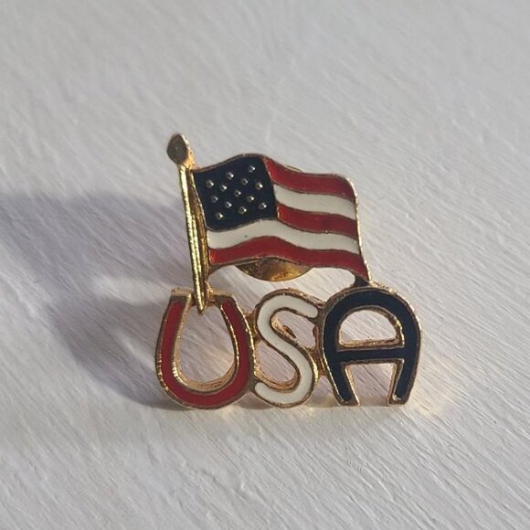 American Flag Country Western Lapel Pin Tie Tack - Picture 1 of 4